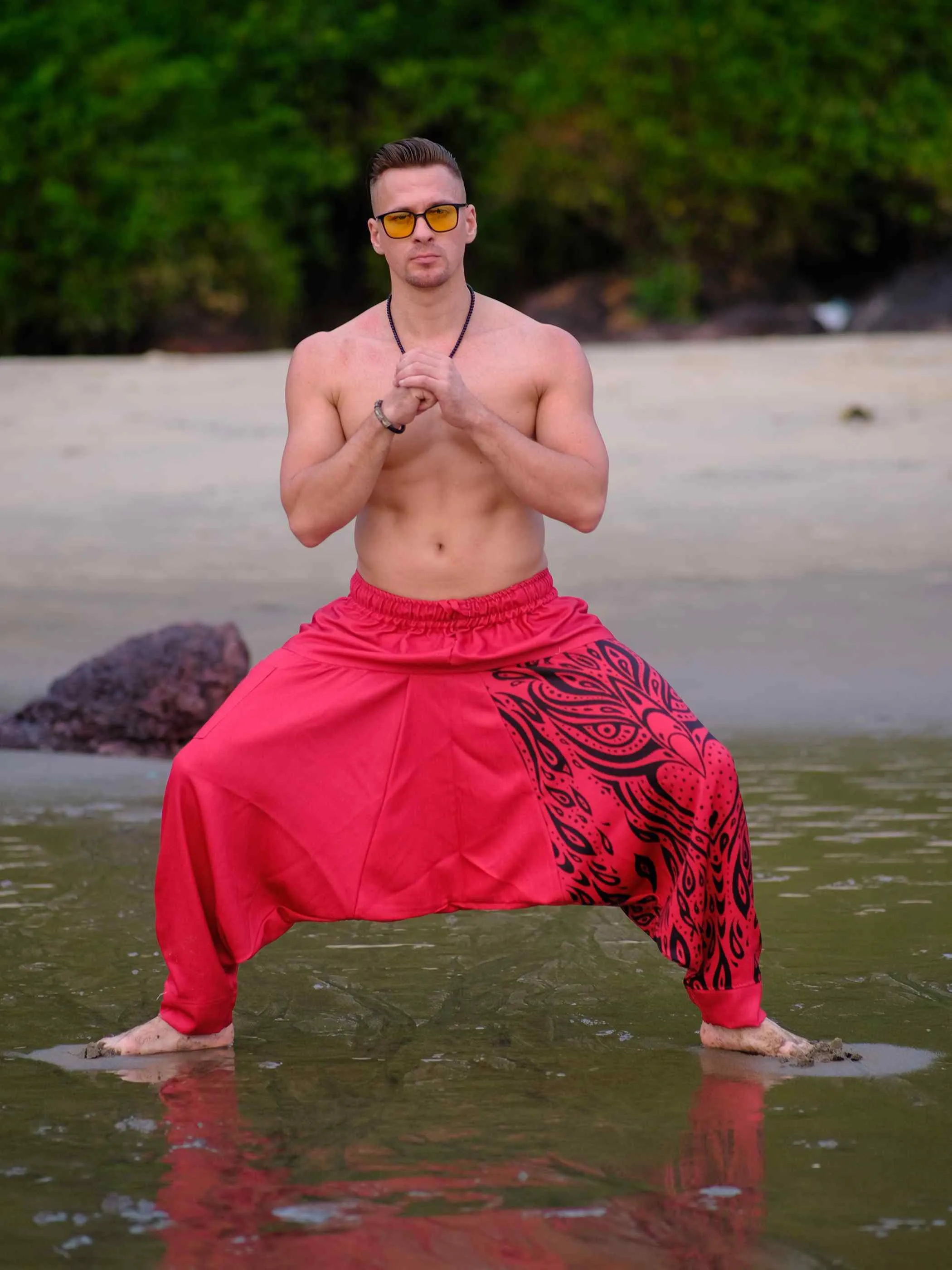 Men's Red Owl Bohemian Hippy Balloon Harem Pants For Travel Dance Yoga