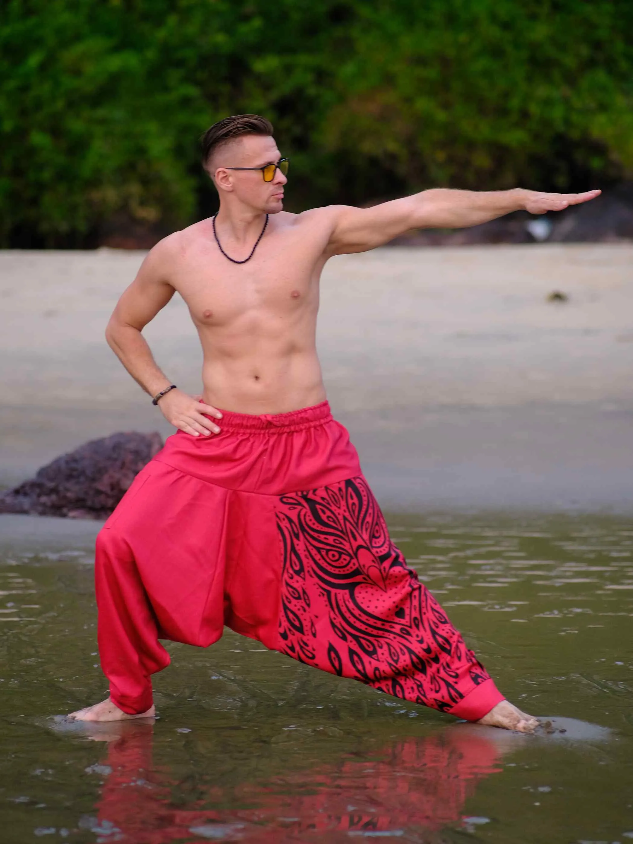 Men's Red Owl Bohemian Hippy Balloon Harem Pants For Travel Dance Yoga