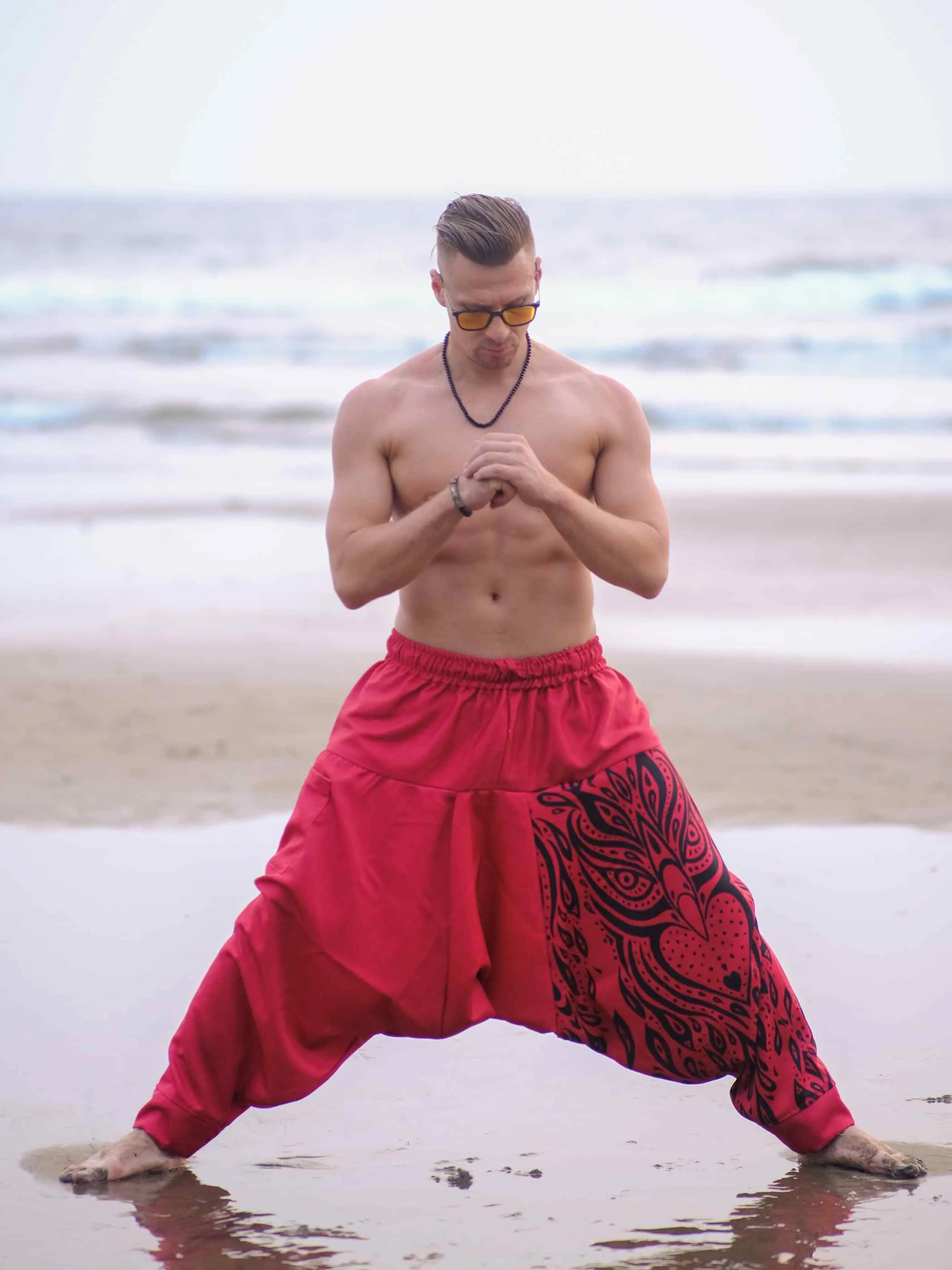 Men's Red Owl Bohemian Hippy Balloon Harem Pants For Travel Dance Yoga
