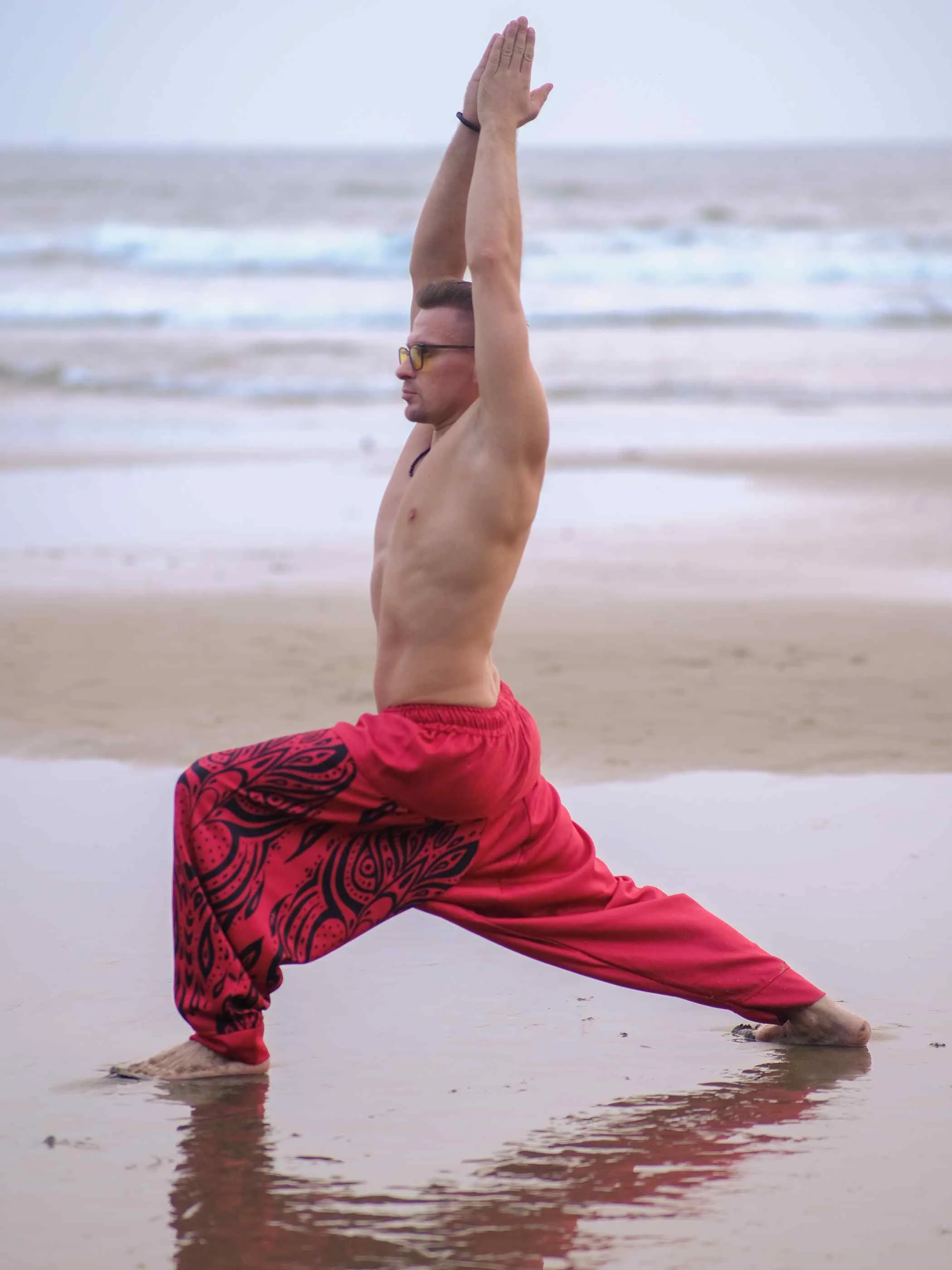 Men's Red Owl Bohemian Hippy Balloon Harem Pants For Travel Dance Yoga