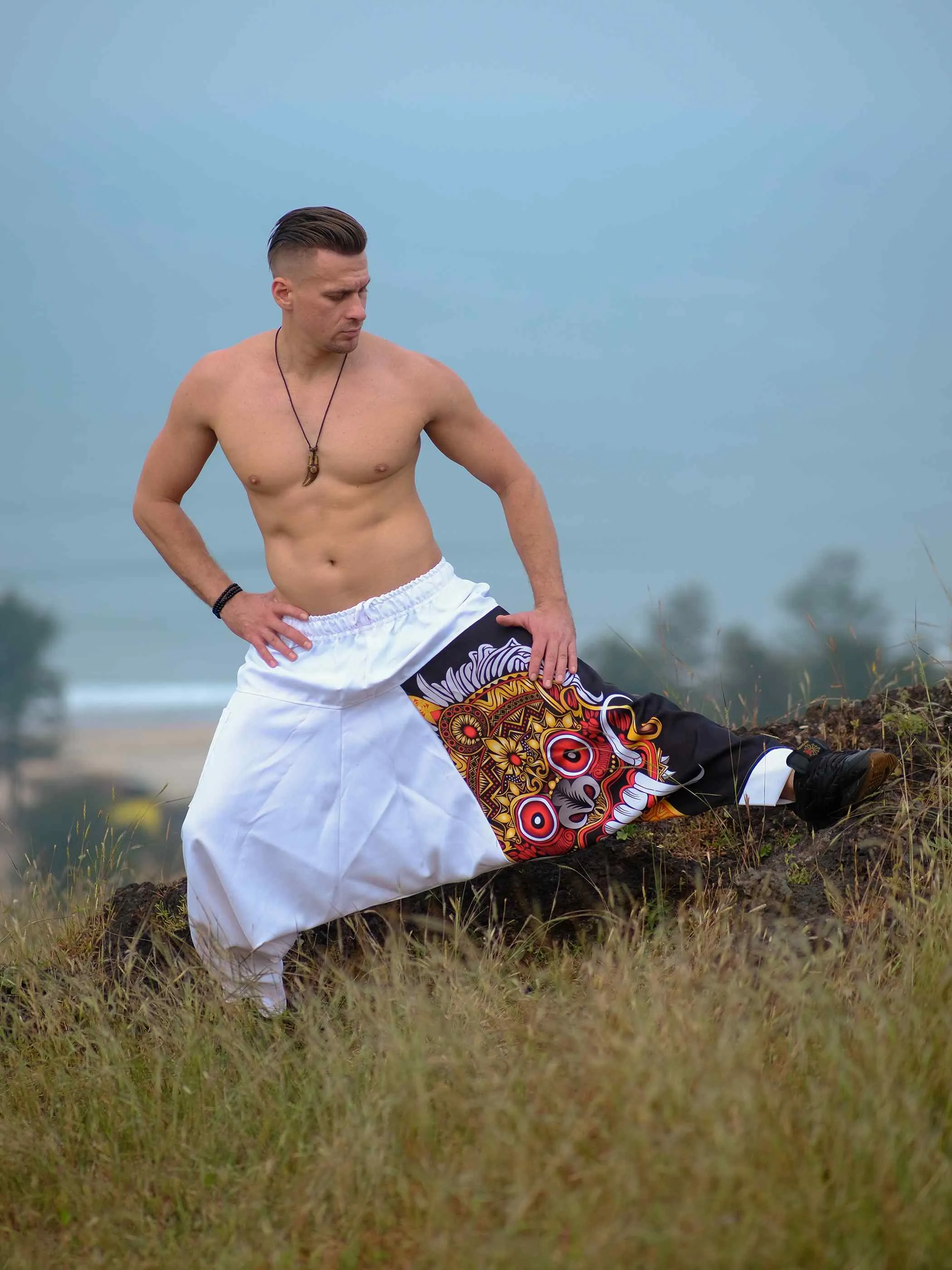 Men's Savage Spirit Travel Genie Pants Bohemian Hippy Harem Pants For Dance Yoga