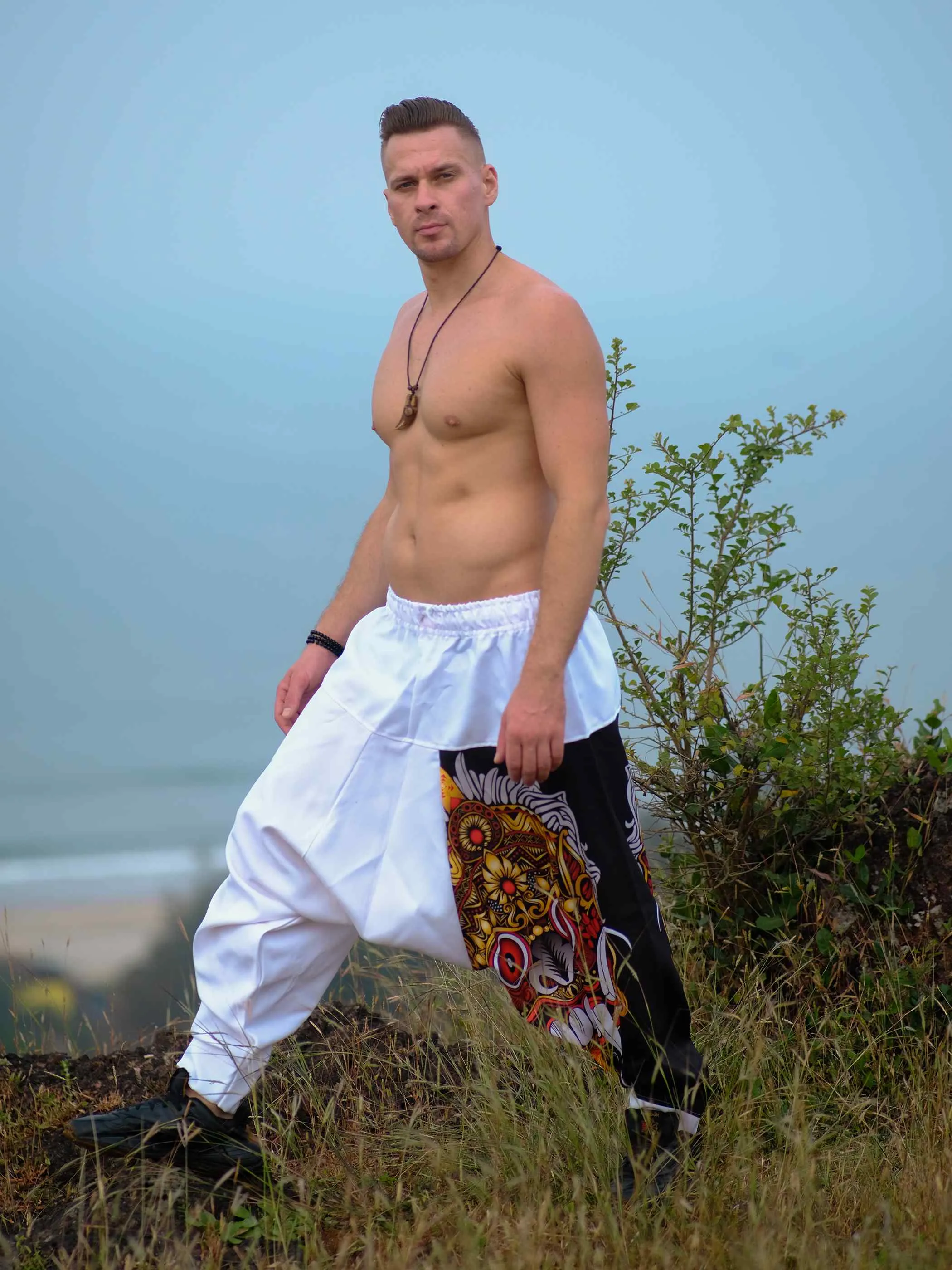 Men's Savage Spirit Travel Genie Pants Bohemian Hippy Harem Pants For Dance Yoga