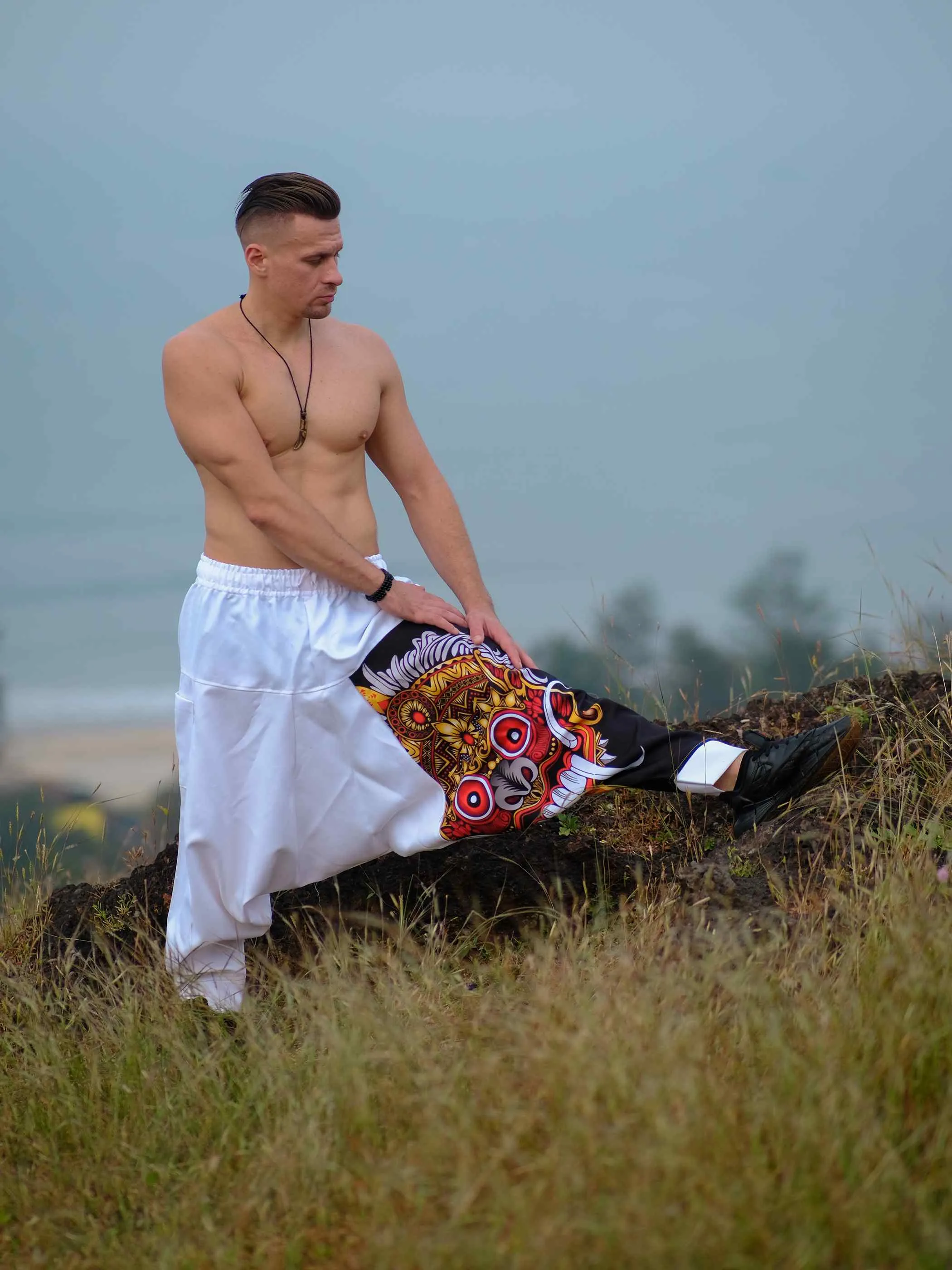 Men's Savage Spirit Travel Genie Pants Bohemian Hippy Harem Pants For Dance Yoga